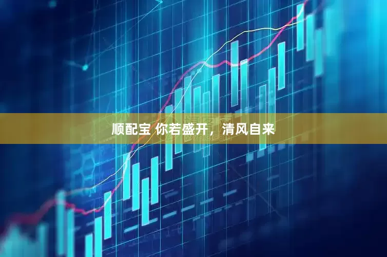 顺配宝 你若盛开，清风自来