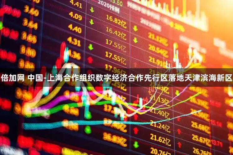 倍加网 中国-上海合作组织数字经济合作先行区落地天津滨海新区